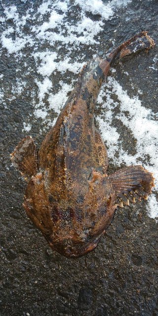 DSC_0006.JPG