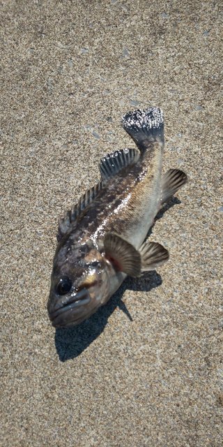 DSC_0056.JPG