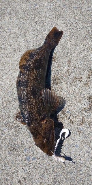 DSC_0075.JPG