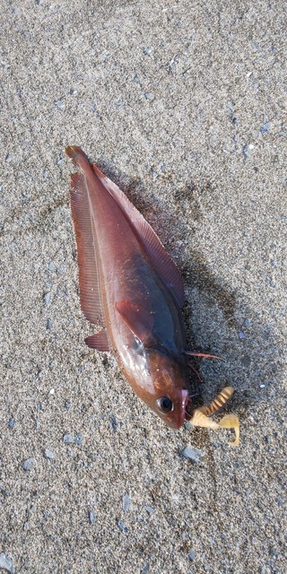 DSC_0203.JPG