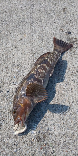 DSC_0222.JPG
