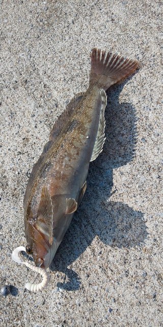 DSC_0223.JPG