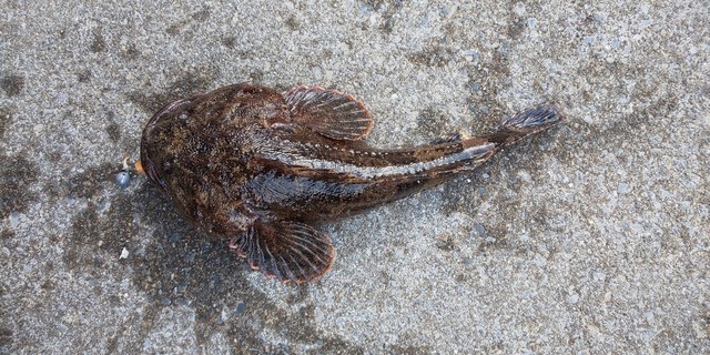 DSC_0272.JPG