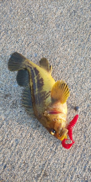 DSC_0327.JPG