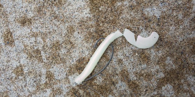 DSC_0353.JPG