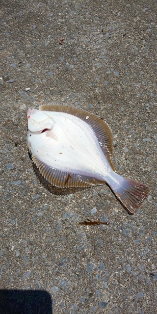 DSC_0367.JPG