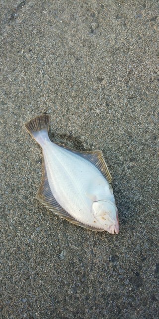 DSC_0447.JPG