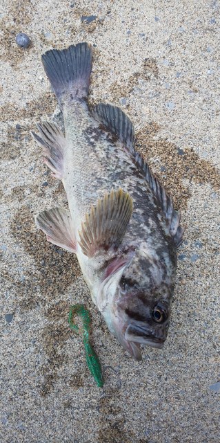 DSC_0614.JPG