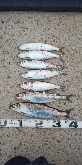 DSC_0760.JPG